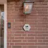 Grijs botanisch patroon - Modern Naambord Hexagon klein -sfeer7-hexagon-XS