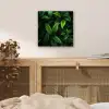 Bladeren - Regendruppels - Licht - Groen aluminium wit klein -sfeer3