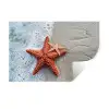 Zeester - Strand - Zee Muursticker klein -3d