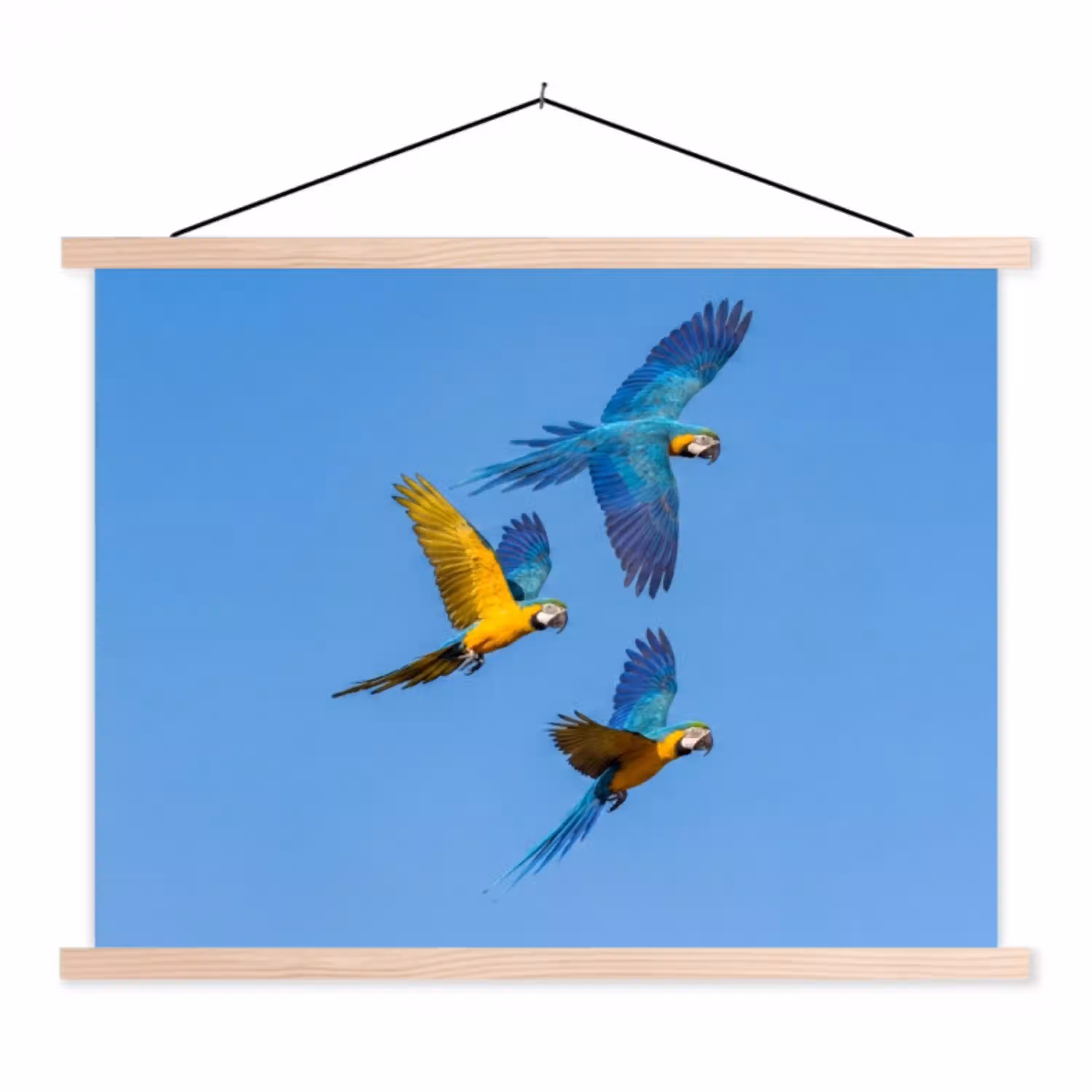 Papagaai - Vliegen - Blauw - Geel textielposter latten blank klein -3d