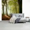 Bos - Zon - Seizoenen - Landschap fotobehang vinyl groot -slaapkamer