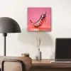 Peper - Disco - Rood - Glitter aluminium wit klein -sfeer5