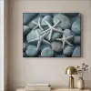 Zeesterren - Stenen - Wit Textielframe zwart klein -sfeer2