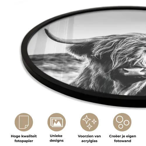 Koe - Schotse hooglander - Zwart - Wit - Dier - Natuur - Wild Fotolijst rond zonder passe partout klein -closeup_NL