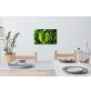 Groente - Sla - Groen Muursticker klein -eettafel