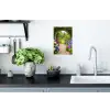 Doorkijk - Poort - Hortensia - Bloementuin Muursticker klein -keuken