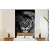 Leeuw - Ogen - Oranje - Zwart wit - Dieren - Portret fotobehang vinyl groot -bed