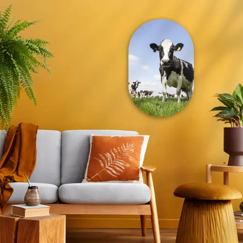 Koeien - Gras - Dieren - Zon - Boerderij Wandcirkel Ovaal Forex klein -sfeer4