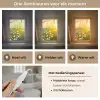 Bloemen - Madelief - Natuur - Zon - Horizon Light Box met kabel (Tafellamp) klein -USP_lichtkleurNL