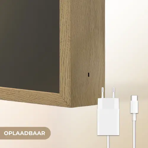 Tak - Pluimgras - Donkerbruin Light Box met batterij (Wandlamp) middel -USP_websiteoplaadbaarNL