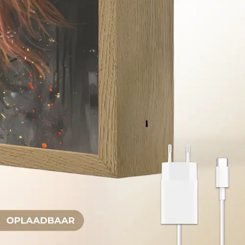 Paard - Dieren - Zwart - Luxe - Modern Light Box met batterij (Wandlamp) middel -USP_websiteoplaadbaarNL