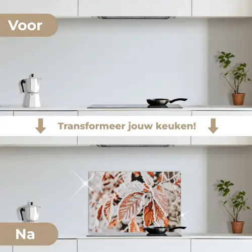 Bladeren - IJs - Winter - Natuur keuken achterwand spatscherm klein -voor_na_NL