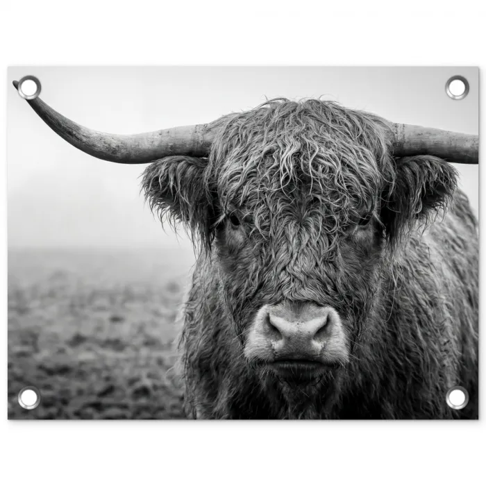 Schotse hooglander - Zwart - Wit - Gras tuinposter los doek klein -3d
