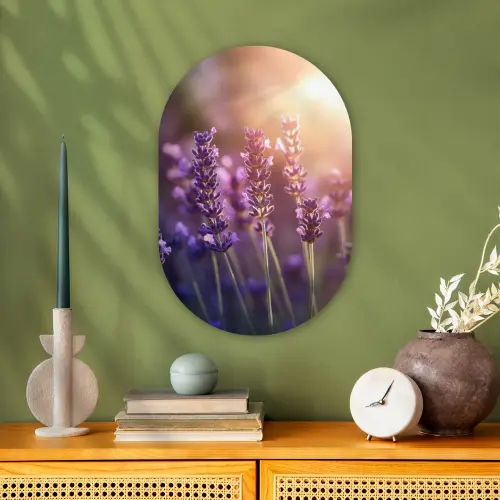Lavendelbloemen - Paars - Zonlicht Wandcirkel Ovaal Forex klein -sfeer2