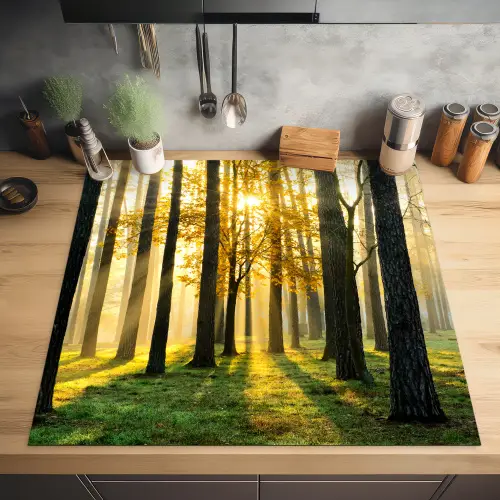 Bos - Zon - Bomen - Gras - Landschap  - Natuur Inductie beschermer vinyl 3mm middel -sfeer5
