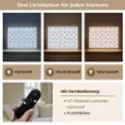 Paddenstoel -Sprookje - Blauw Light Box met batterij (Wandlamp) middel 907 -USP_lichtkleurDE