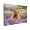 Hooglander in de Heide Tuinposter op houten frame 2 cm dik klein -3d
