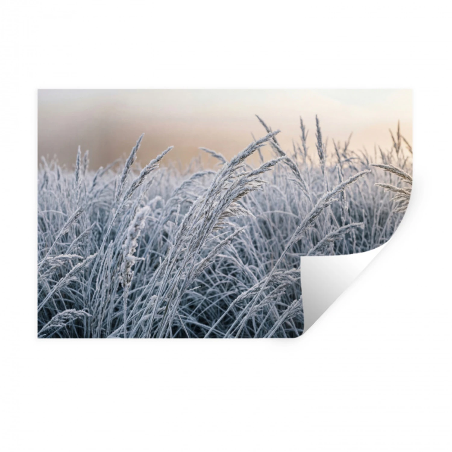 Rijp - Gras - Kristallen - Winter - Minimalistisch Muursticker klein -3d