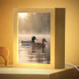Eenden - Water - Mist - Natuur Light Box met kabel (Kinderlampje) klein -zzzz_3d_website
