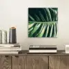 Tropisch - Inductie mat - Natuur - Inductie beschermer - Jungle aluminium wit klein -sfeer1