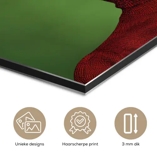 Vrouw - Groen - Bril - Aesthetic - Modern aluminium wit klein -closeup_NL