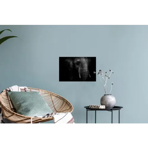 Olifant - Dier - Portret Muursticker klein -plant