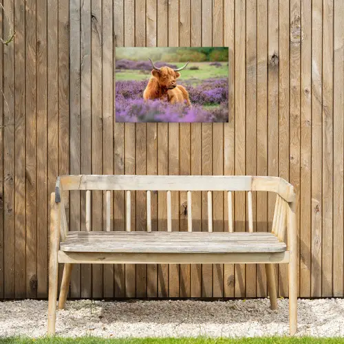 Hooglander in de Heide Tuinposter op houten frame 2 cm dik klein -sfeer4