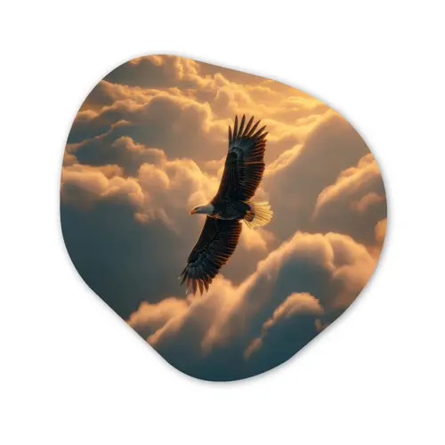 Adelaar - Wolken - Zon Wandcirkel Organisch Forex 3mm klein -3d