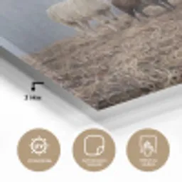 Boerderijdieren - Groep - Mist - Natuur - Rustiek plexiglas 5mm klein -wsfeer2_DE