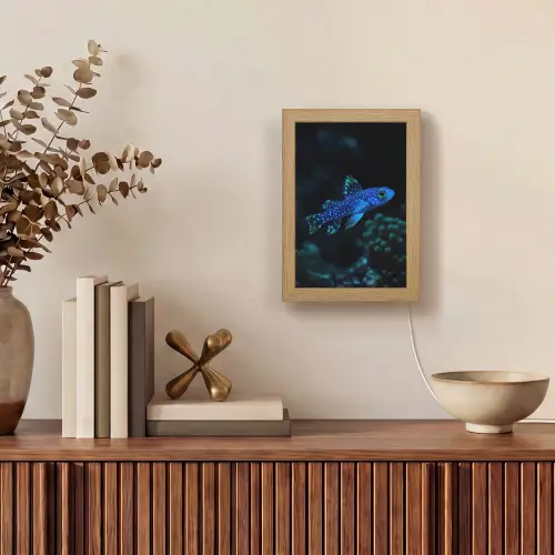 Vis - Stippen - Koraal - Blauw Light Box met kabel (Tafellamp) klein -sfeer2