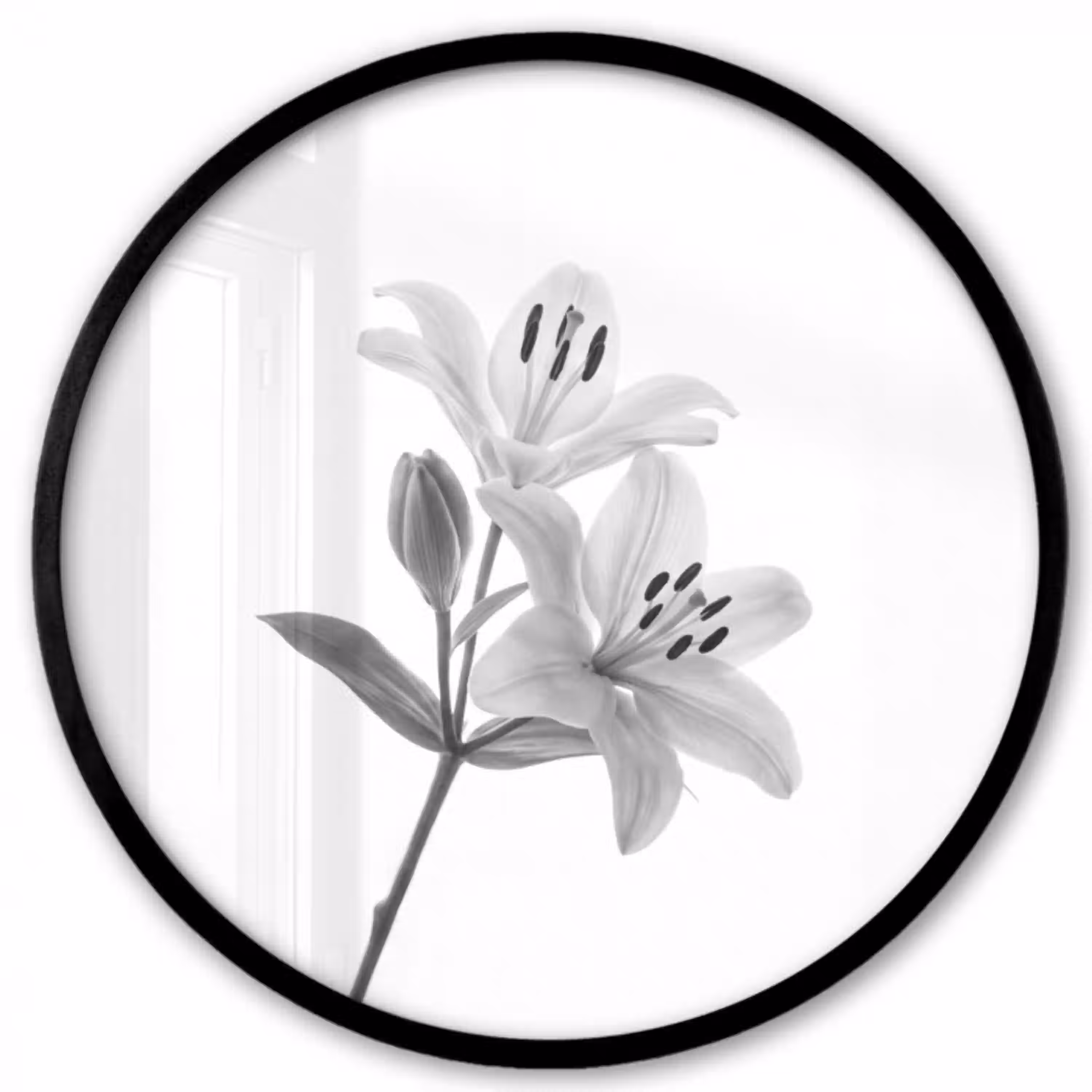 Lelies - Elegant - Zwart - Wit Fotolijst rond zonder passe partout klein -3d
