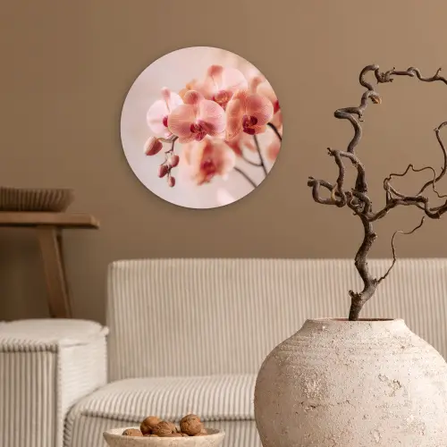 Orchidee - Bloemen - Roze - Bloemblaadjes Wandcirkel kunststof plaat 5mm dik klein -sfeer1