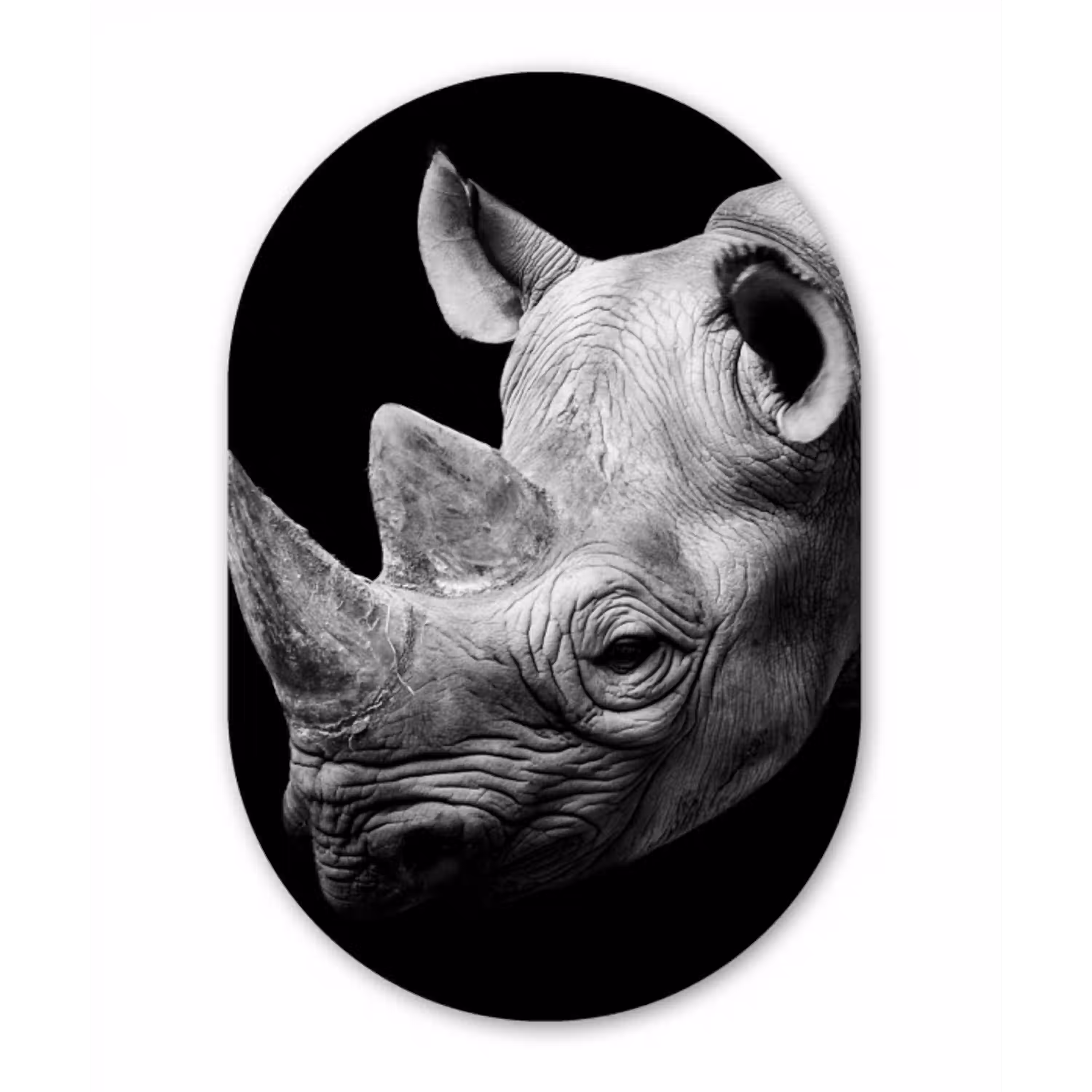 Dieren - Neushoorn - Zwart - Wit - Portret Wandcirkel Ovaal Forex klein -3d