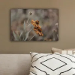 Zonnehoed - Droogbloemen - Geel - Warm canvas 2cm klein -sfeer3