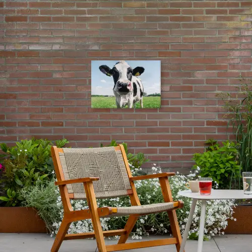 Koeien Close-up Tuinposter op houten frame 2 cm dik klein -sfeer3