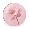 Bloem - Pioenroos - Roze Wandcirkel aluminium klein -3d