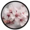 Bloesems - Meeldraden - Geel - Wazig Fotolijst rond zonder passe partout klein -3d
