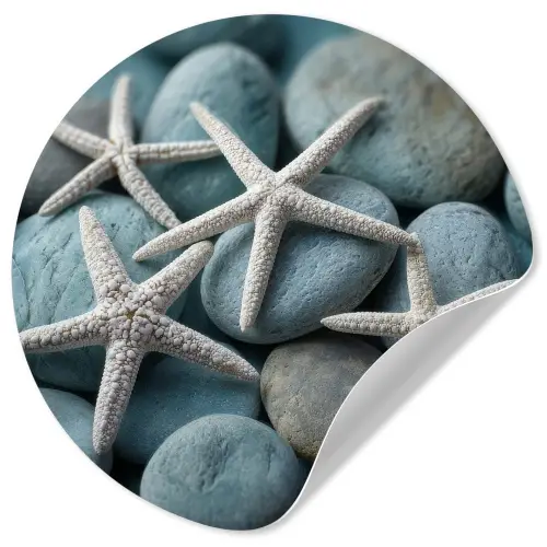 Zeesterren - Stenen - Wit Wandcirkel behangsticker klein -3d