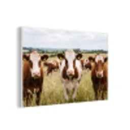 Koeien - Portret - Weide - Boerderij - Nieuwsgierig forex 5mm xxl -3d