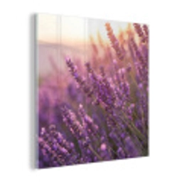Lavendel - Paars - Zonlicht plexiglas 5mm klein -z3d