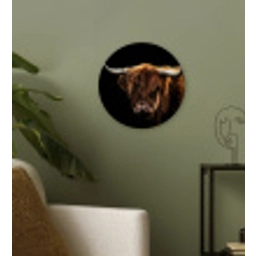 Schotse Hooglander - Horens - Zwart - Dieren - Natuur - Wild - Koe Wandcirkel kunststof plaat 5mm dik klein -sfeer3