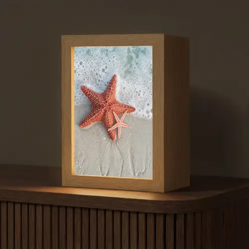 Zeester - Strand - Zee Light Box met kabel (Tafellamp) klein -z3d_website