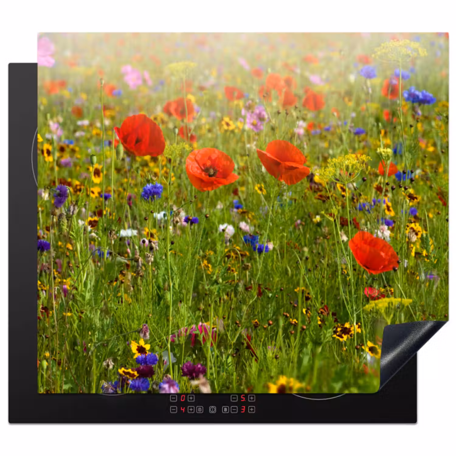 Inductie beschermer - Wildbloemenweelde in de Zomer
