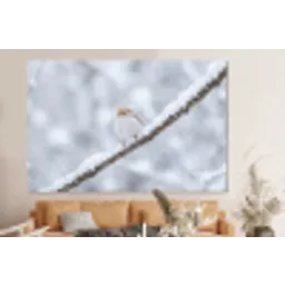 Vogeltje - Sneeuw - Tak - Winter - Zacht forex 5mm xxl -bovenbank