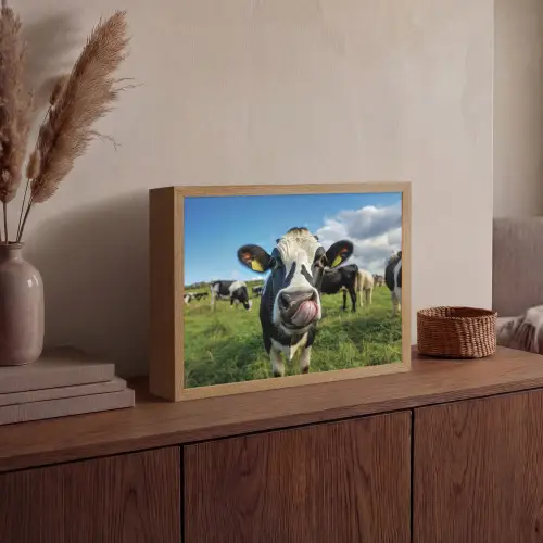 Koe - Tong - Weide Light Box met batterij (Wandlamp) middel -sfeer2