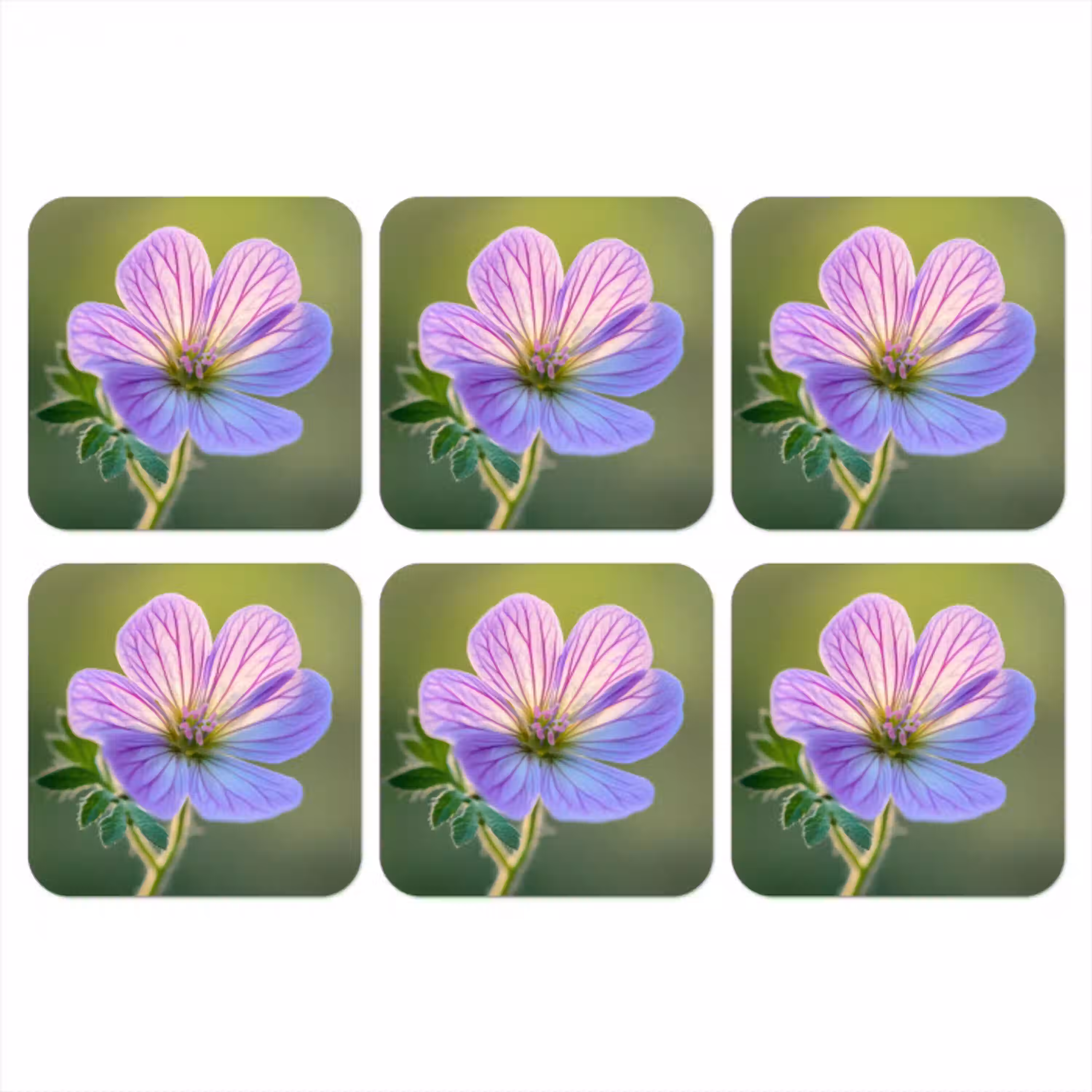 Bloem - Close up - Paars onderzetter kurk middel -3d