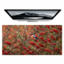 Goudvink - Bessen - Herfst - Natuur - Kleurrijk Muismat XXL klein -zzz3d