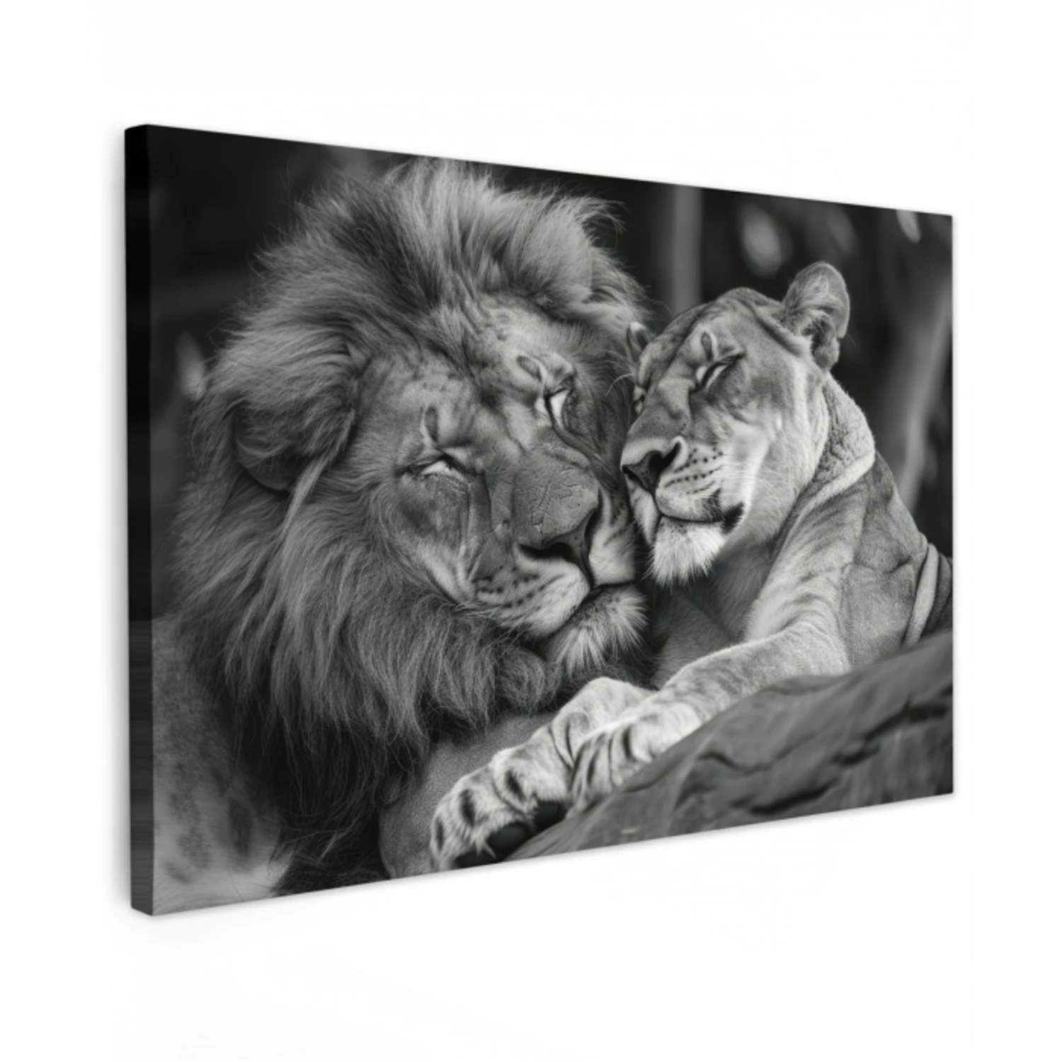 Leeuwen - Dieren - Zwart - Wit - Leeuw canvas 2cm klein -z3d