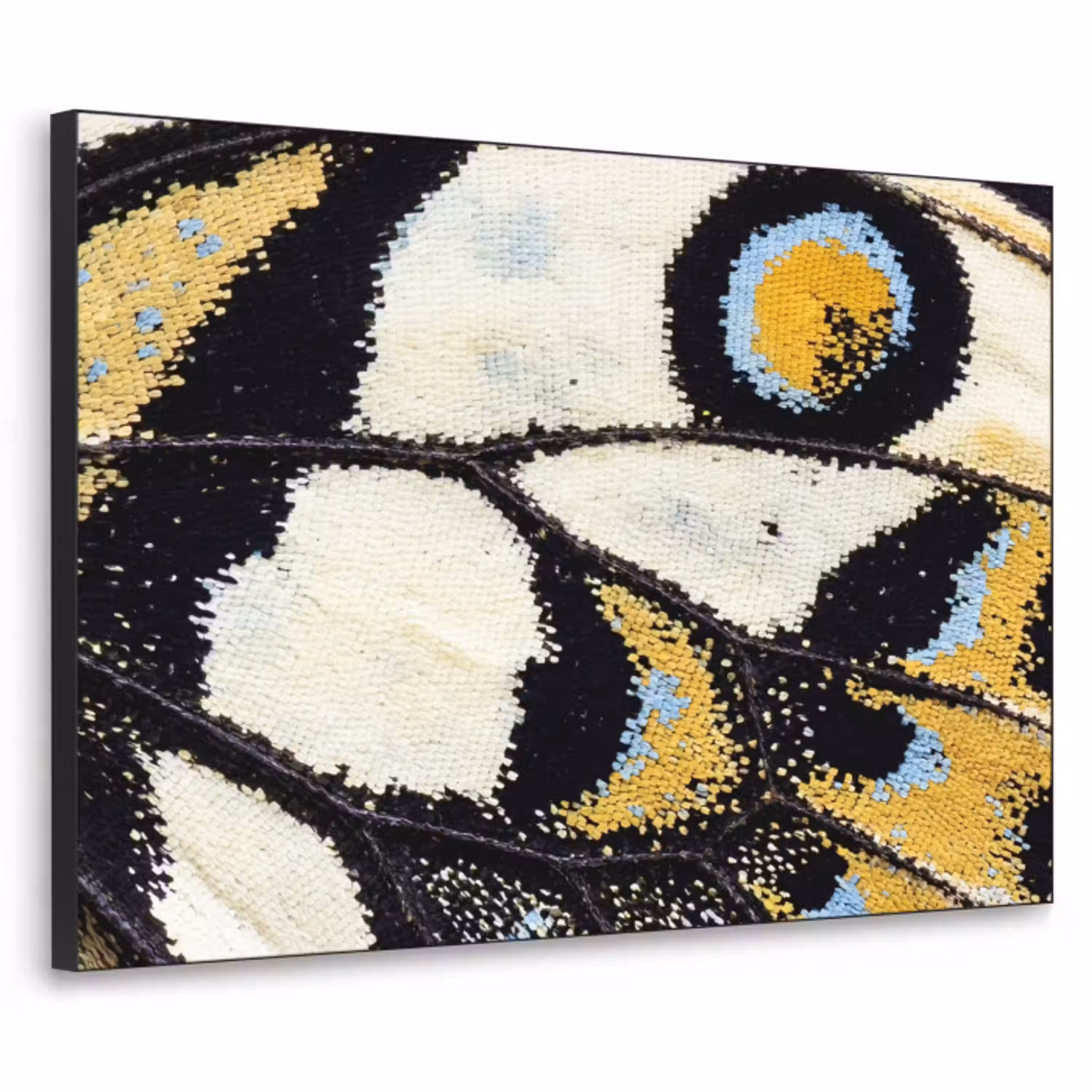 Vlinder - Vleugel - Geel Textielframe zwart klein -3d