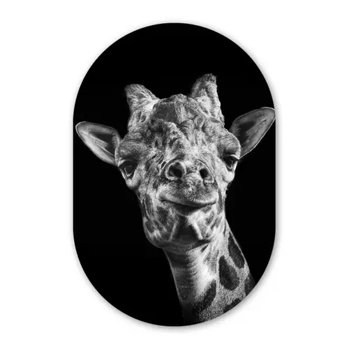 Giraffe - Dier - Zwart - Wit Wandcirkel Ovaal Forex klein -3d